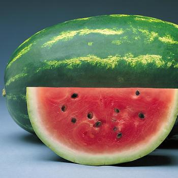 Citrullus - 'Sunsugar' Watermelon