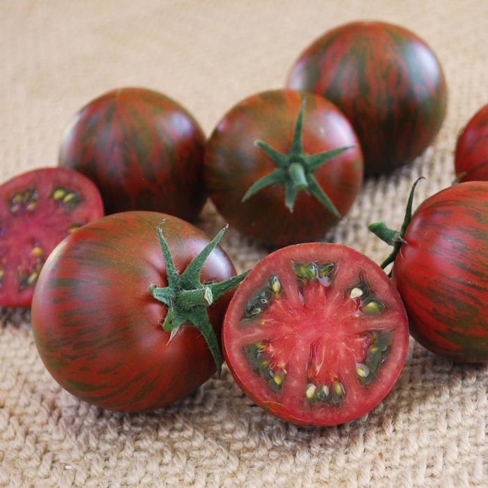 'Purple Zebra' Tomato - Lycopersicon esculentum from 5 Acres NH