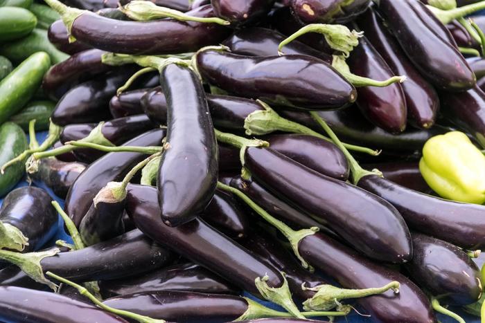 'Orient Express' Asian Eggplant - Solanum melongena from 5 Acres NH